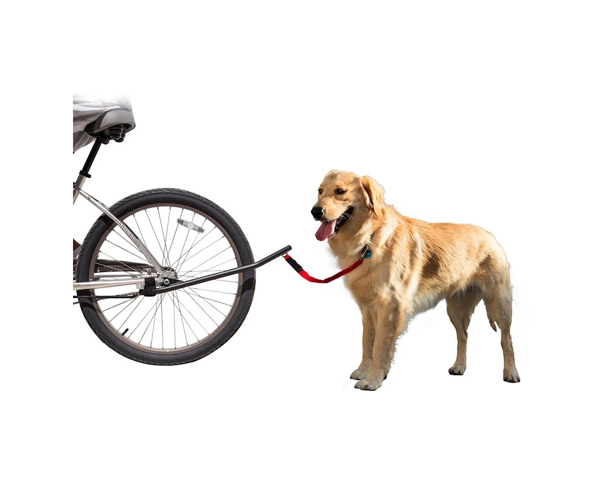 Sunlite Bicycle Dog Leash